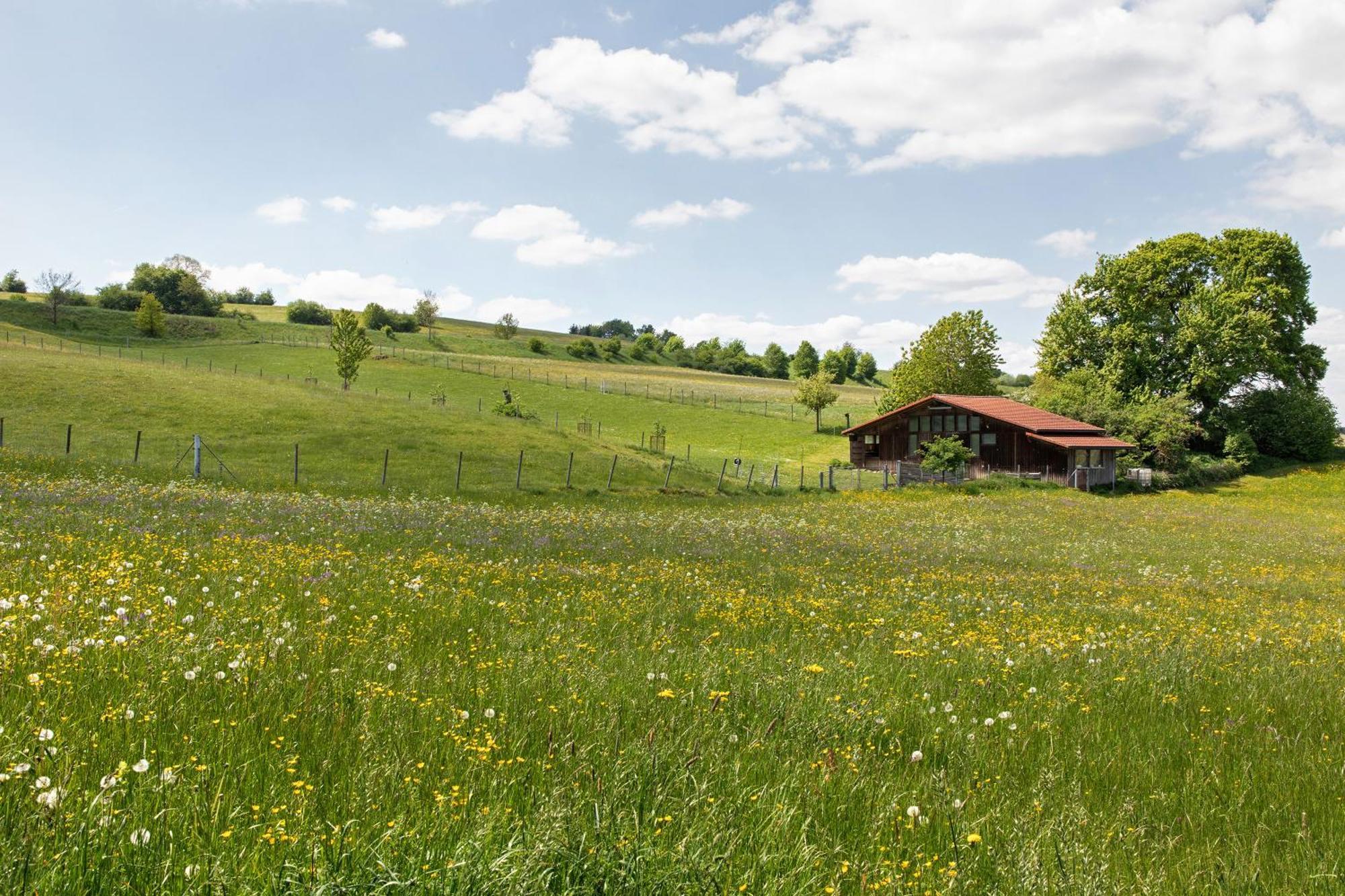 Ferienwohnung Emilia, 36Qm Münsingen Εξωτερικό φωτογραφία